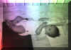 images/Pic-Jhn-011.jpg (17KB)